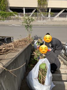 夏に向けて、本社の草刈りを行いました！